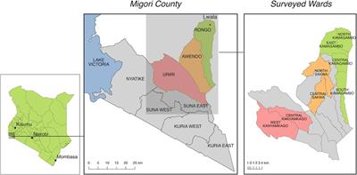Interpersonal violence against women and maternity care in Migori County, Kenya: evidence from a cross-sectional survey